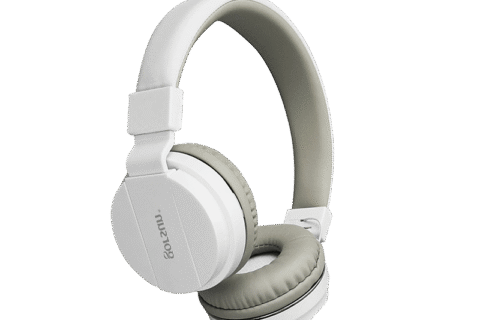 JBL Tune 510BT Wireless On-Ear Head phones Blue